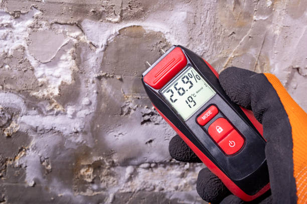 Best Toxic Mold Removal  in Stanleytown, VA